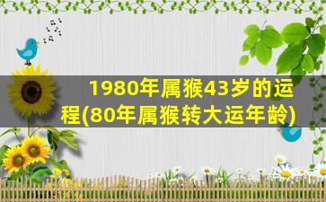 1980年属猴43岁的运程(80年属猴转大运年龄)