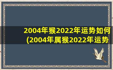 2004年猴2022年运势如何