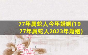 77年属蛇人今年婚姻(19