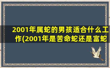 2001年属蛇的男孩适合什