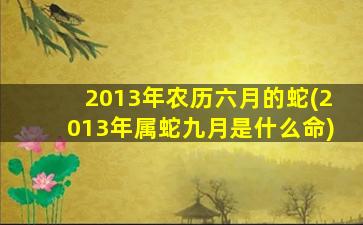 2013年农历六月的蛇(201