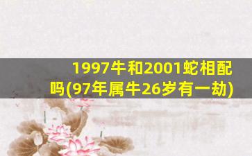 1997牛和2001蛇相配吗(97年