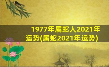 1977年属蛇人2021年运势