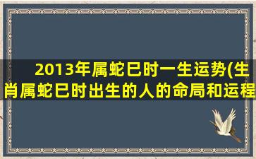 2013年属蛇巳时一生运势(生肖属蛇巳时出生的人的命局和运程)