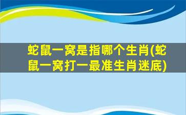 蛇鼠一窝是指哪个生肖(蛇鼠一窝打一最准生肖迷底)