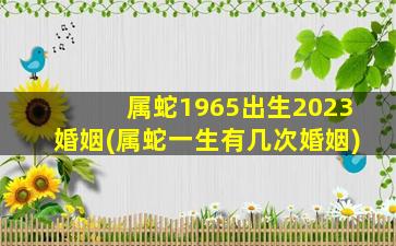 属蛇1965出生2023婚姻(属蛇一生有几次婚姻)