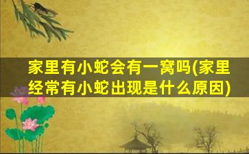 家里有小蛇会有一窝吗(家里经常有小蛇出现是什么原因)