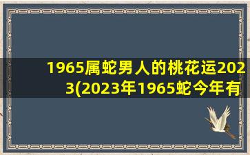 1965属蛇男人的桃花运202