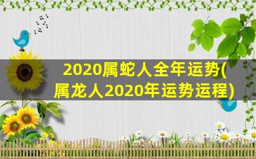 2020属蛇人全年运势(属龙