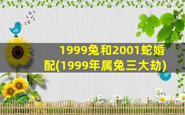 1999兔和2001蛇婚配(1999年属