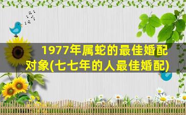 1977年属蛇的最佳婚配对