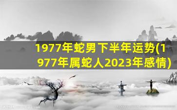 1977年蛇男下半年运势(1977年属蛇人2023年感情)