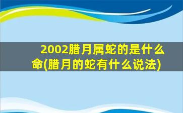 2002腊月属蛇的是什么命(腊月的蛇有什么说法)