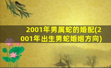 2001年男属蛇的婚配(200