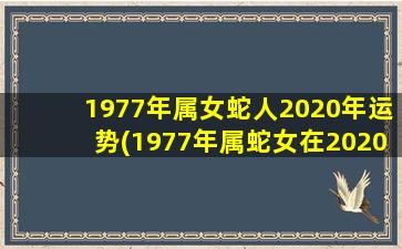 1977年属女蛇人2020年运势