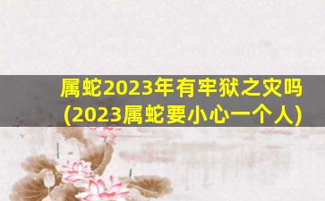 <strong>属蛇2023年有牢狱之灾吗</strong>