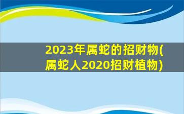 2023年属蛇的招财物(属蛇人2020招财植物)