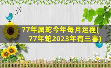 77年属蛇今年每月运程(77年蛇2023年有三喜)