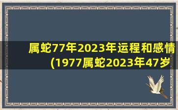 <strong>属蛇77年2023年运程和感情</strong>