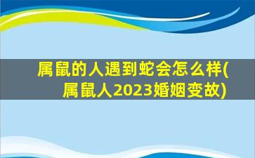 属鼠的人遇到蛇会怎么样