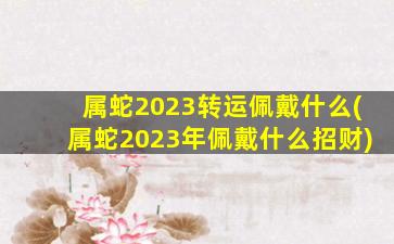 属蛇2023转运佩戴什么(属