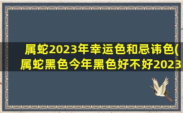 属蛇2023年幸运色和忌讳色(属蛇黑色今年黑色好不好2023)