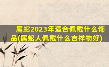 属蛇2023年适合佩戴什么饰