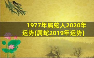 1977年属蛇人2020年运势(属