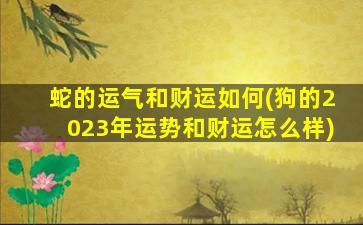 蛇的运气和财运如何(狗