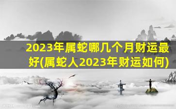 2023年属蛇哪几个月财运最好(属蛇人2023年财运如何)