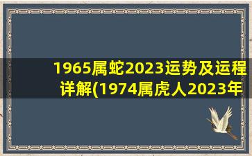 1965属蛇2023运势及运程详解