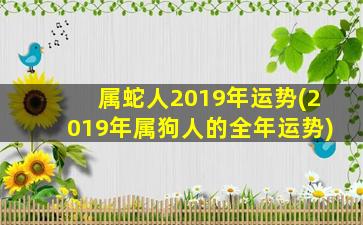 属蛇人2019年运势(2019年属