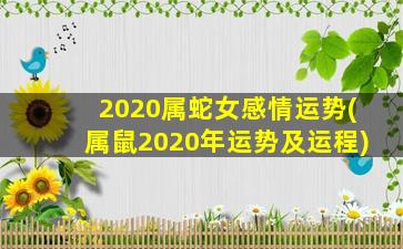 2020属蛇女感情运势(属鼠2020年运势及运程)