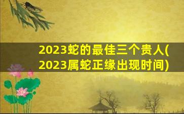 2023蛇的最佳三个贵人(2023属蛇正缘出现时间)