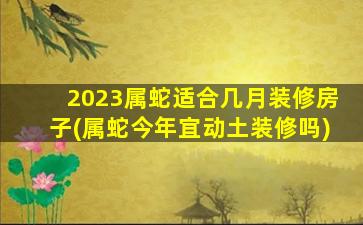 2023属蛇适合几月装修房