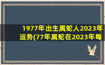 1977年出生属蛇人2023年运