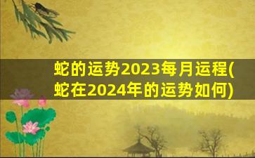 蛇的运势2023每月运程(蛇在