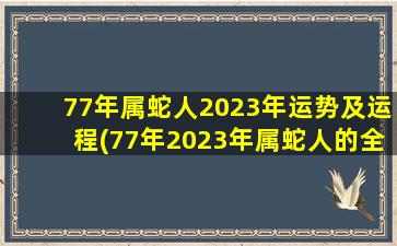 77年属蛇人2023年运势及运