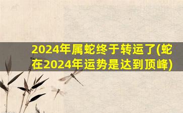 2024年属蛇终于转运了(蛇在