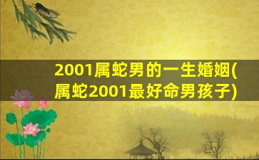 2001属蛇男的一生婚姻(属蛇2001最好命男孩子)