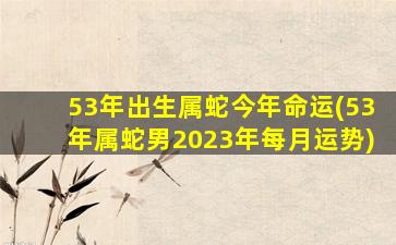 53年出生属蛇今年命运(53年属蛇男2023年每月运势)