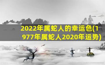 2022年属蛇人的幸运色(1977年属蛇人2020年运势)