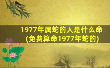 1977年属蛇的人是什么命