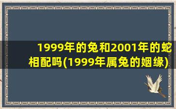 1999年的兔和2001年的蛇相