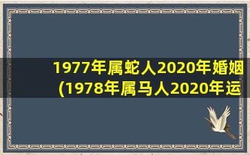 1977年属蛇人2020年婚姻(1978年属马人2020年运势)