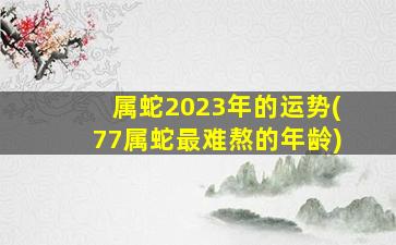 属蛇2023年的运势(77属蛇最难熬的年龄)