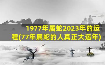 1977年属蛇2023年的运程(77年属蛇的人真正大运年)