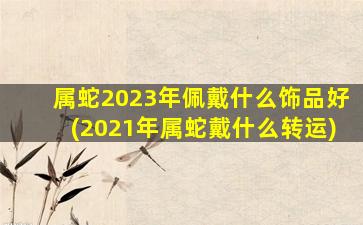 属蛇2023年佩戴什么饰品好(2021年属蛇戴什么转运)