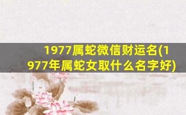 1977属蛇微信财运名(1977年属蛇女取什么名字好)