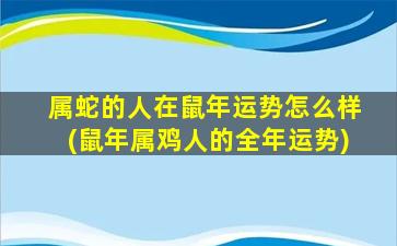 属蛇的人在鼠年运势怎么样(鼠年属鸡人的全年运势)